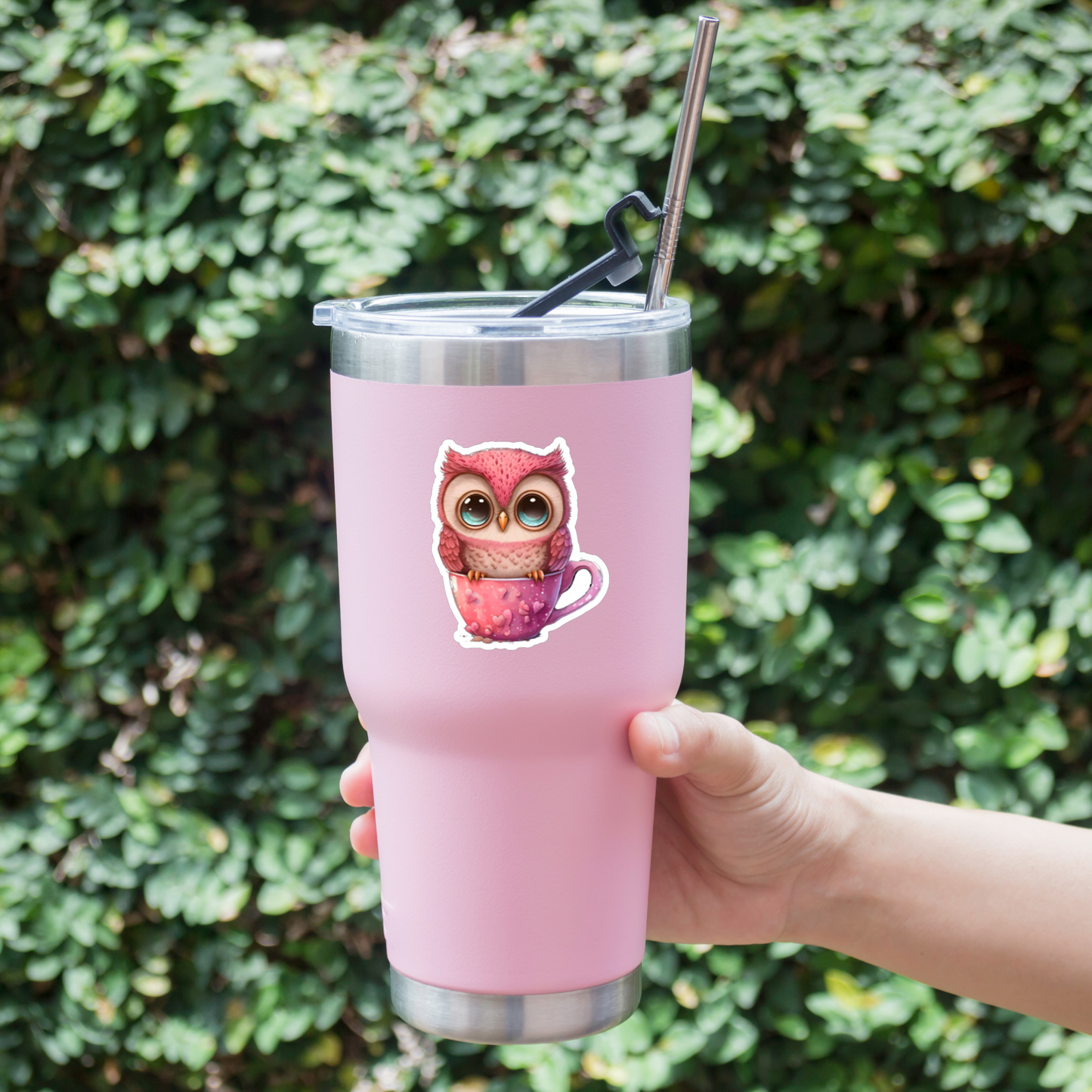 Cute Owl Coffee Sticker